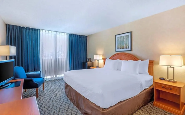 1 Room Suite