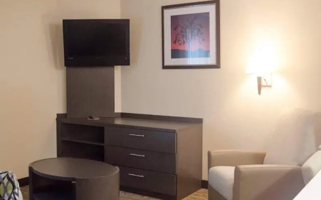 1 Bedroom Suite