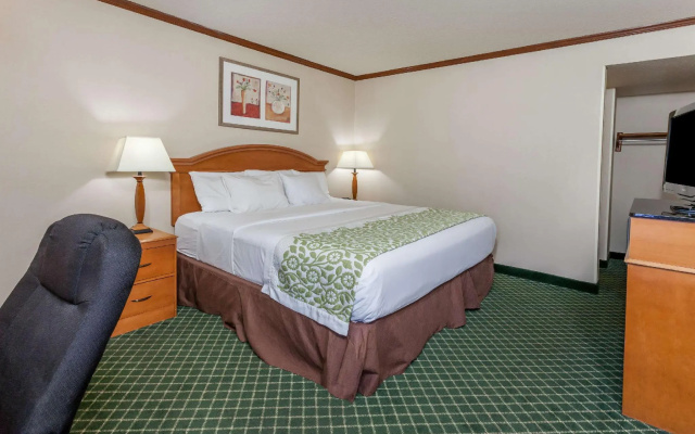 1 Bedroom Double Suite