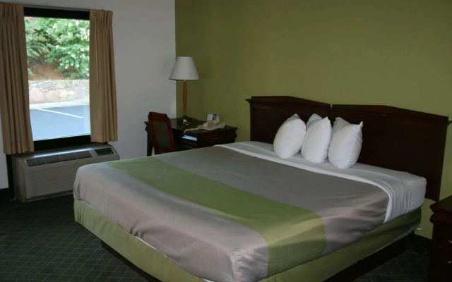 1 Bedroom Double Suite