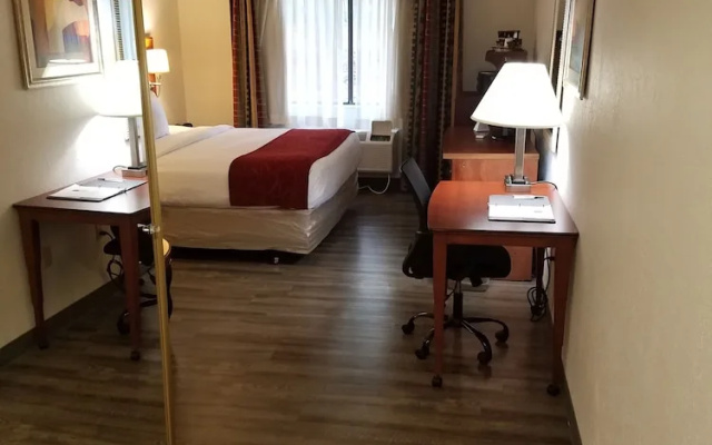 Standard Suite
