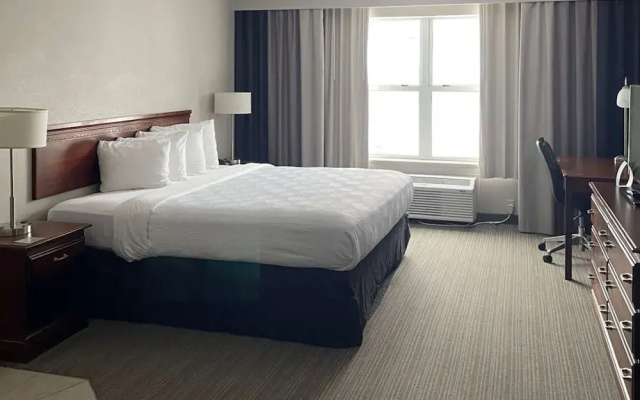 Double Suite
