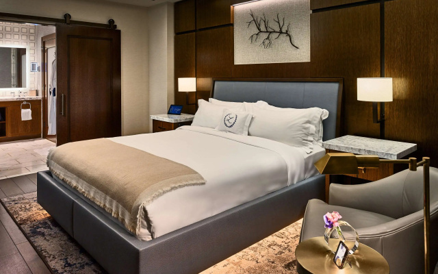 Luxury Suite