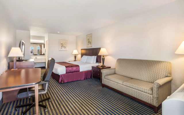 1 Bedroom Double Suite