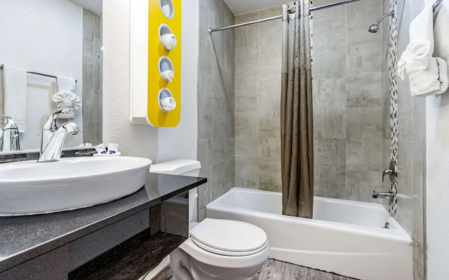 Standard Suite