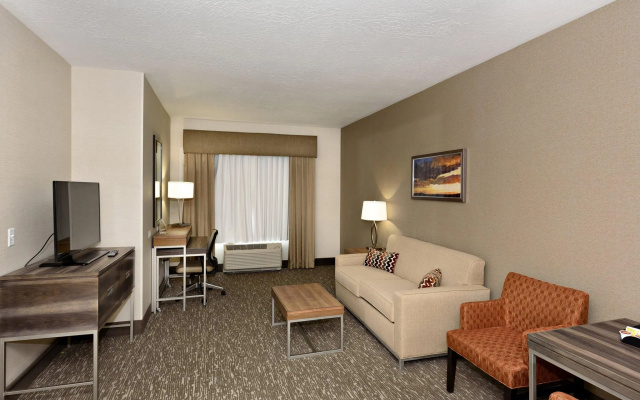 1 Bedroom Suite