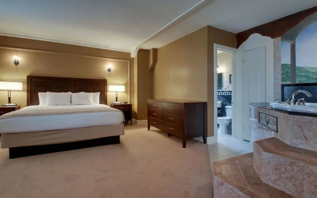 1 Bedroom Suite with city view