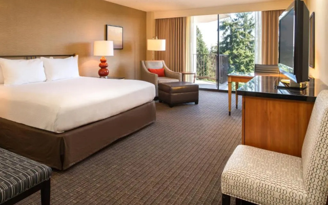 Double room with balcony and with mountain view