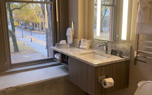 Deluxe Double room with park view