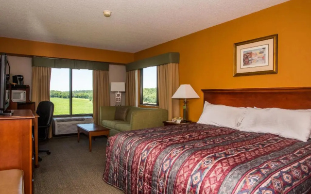 Standard room with mountain view