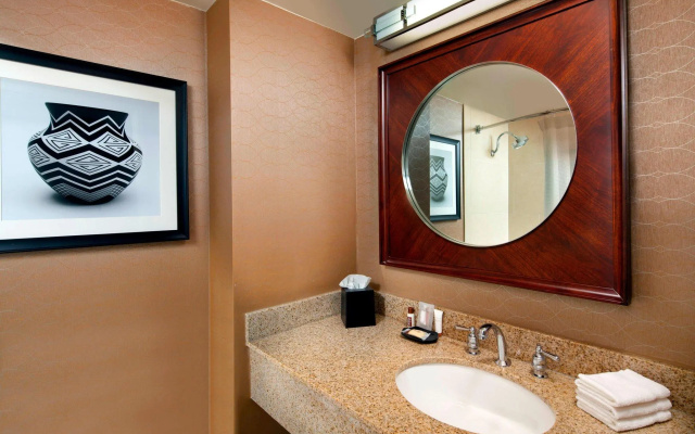 1 Bedroom Double Suite with city view
