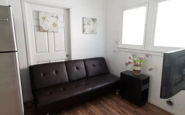 Premium Suite