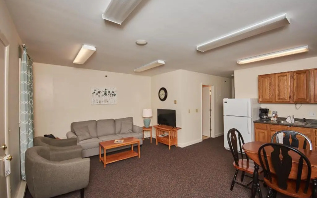Deluxe Apartment