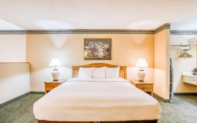 1 Bedroom Standard room