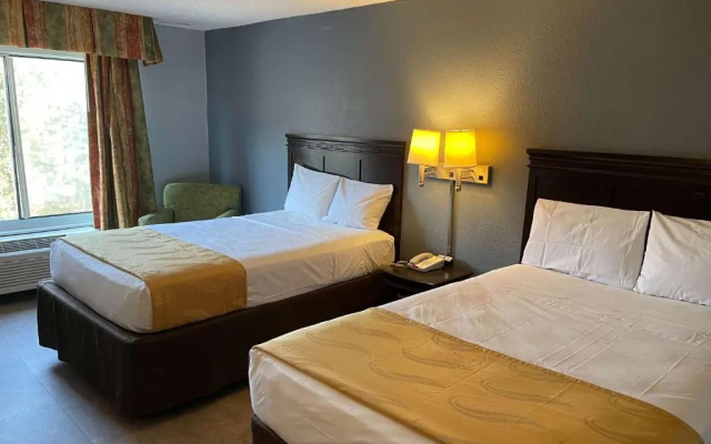 1 Bedroom Suite