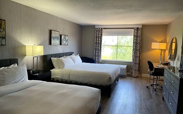 1 Bedroom Quadruple Suite