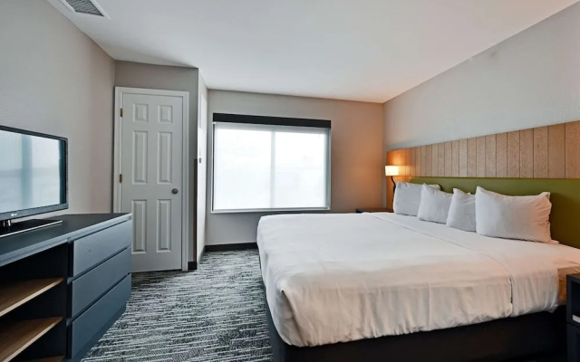 1 Bedroom Suite