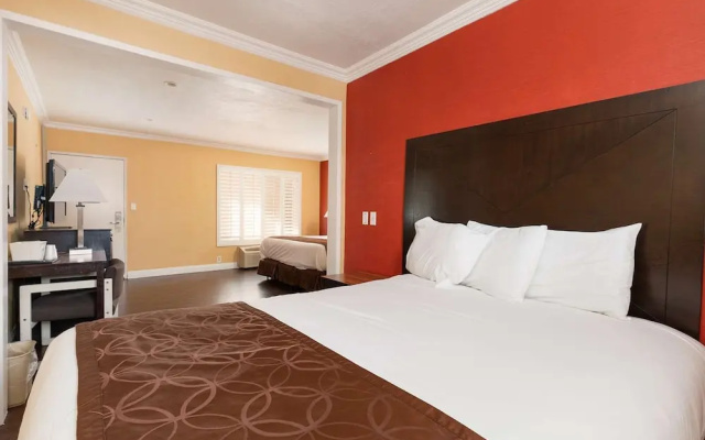 Junior Suite