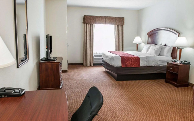 1 Bedroom Suite