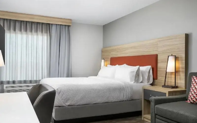 1 Bedroom Double Suite