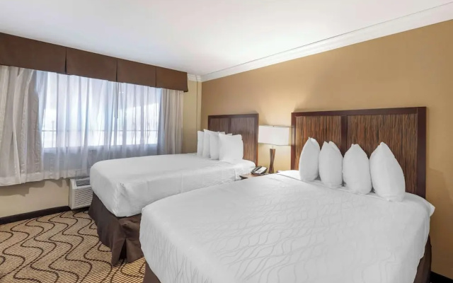 Quadruple Suite with view