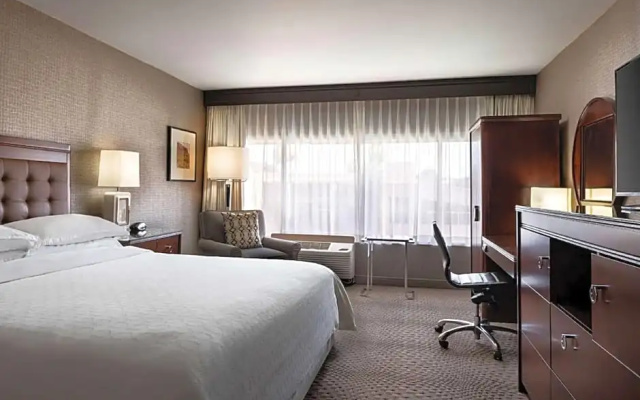 Standard Double room with balcony and with pool view