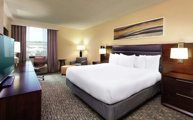 1 Bedroom Double Suite