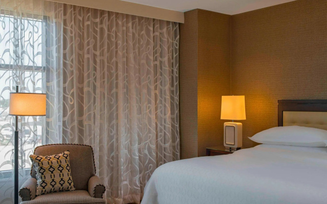 Executive Double Suite