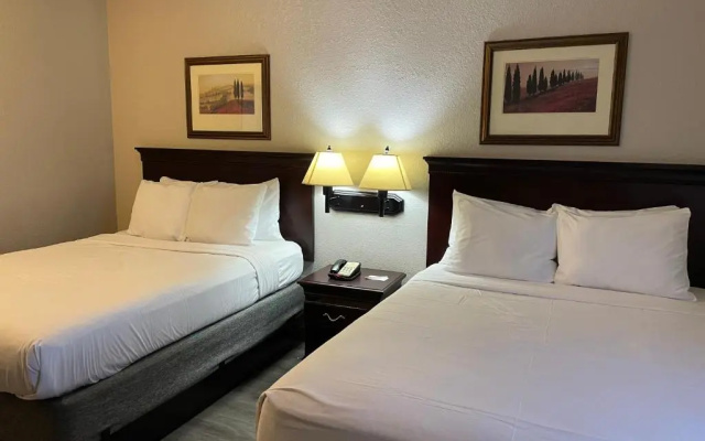 1 Bedroom Double Suite