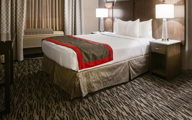 1 Bedroom Double Suite