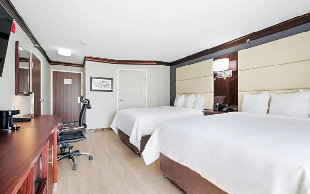 Quadruple Suite