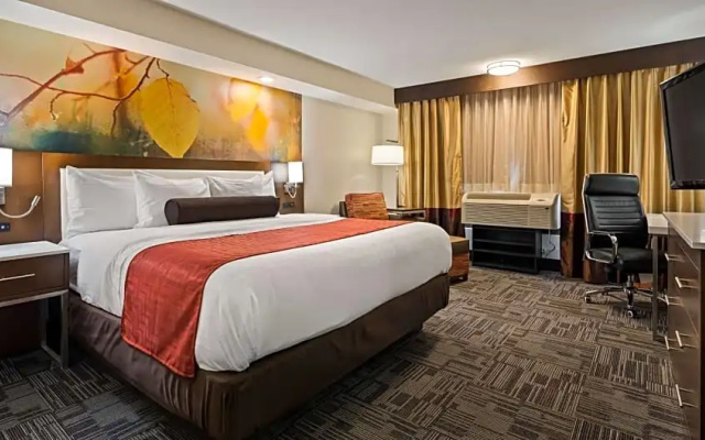 1 Bedroom Double Suite