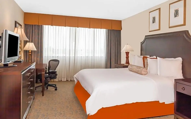 1 Bedroom Double Suite