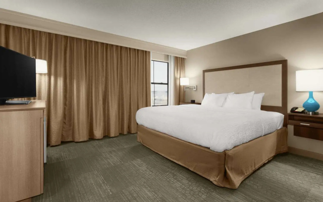 1 Bedroom Double Suite