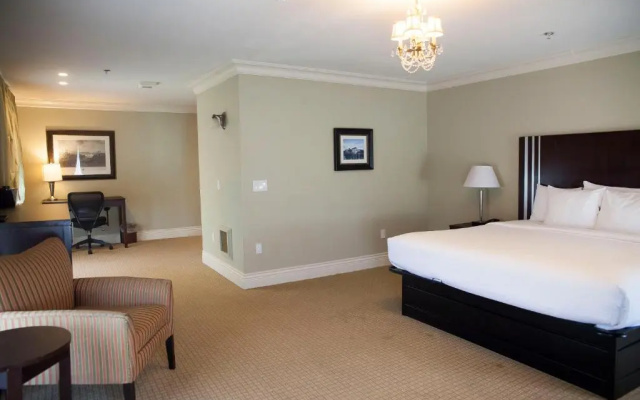 Standard room with river view