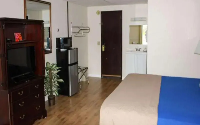 Premium Quadruple Suite