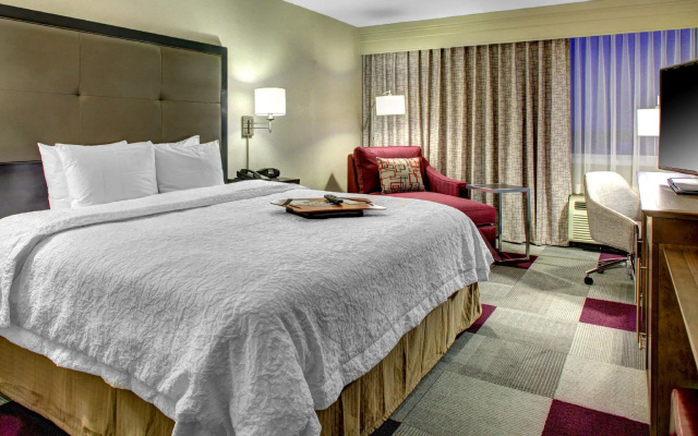 Deluxe Double Guest room