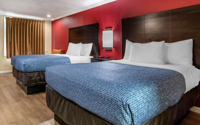 Superior Quadruple room