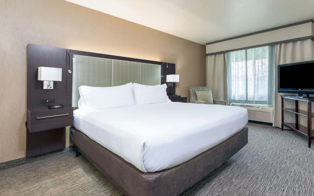 1 Bedroom Suite