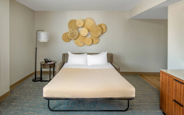 1 Bedroom Suite
