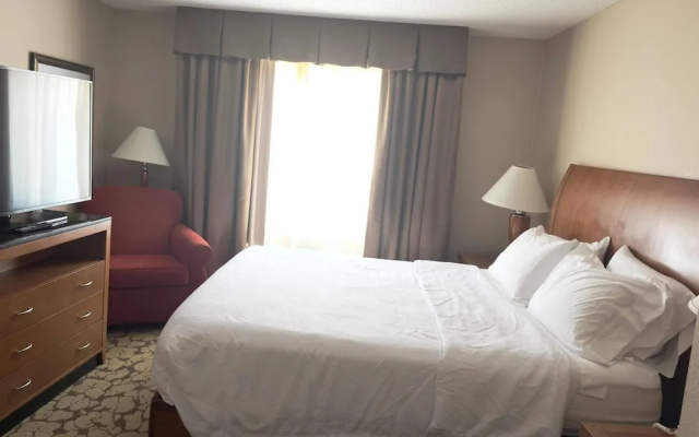 1 Bedroom Suite