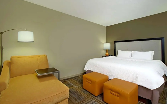 1 Bedroom Suite