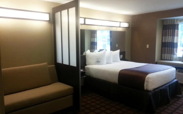 1 Bedroom Suite