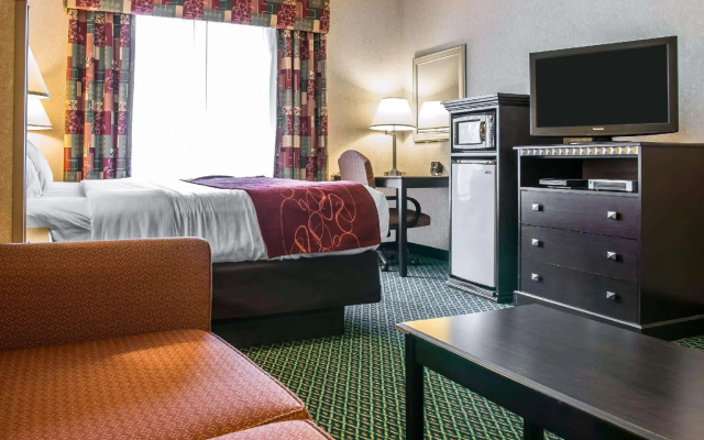 1 Bedroom Suite