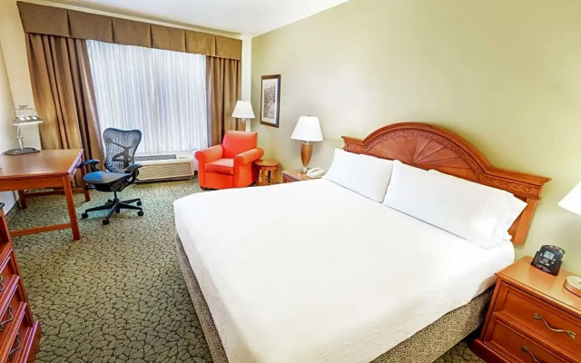 Premium Quadruple room