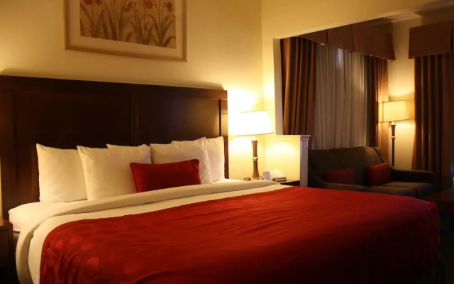 1 Bedroom Suite