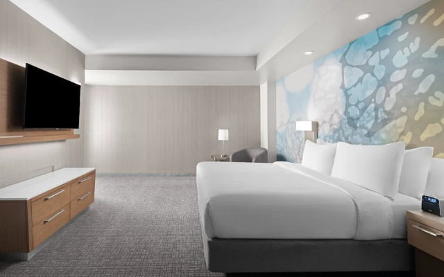 1 Bedroom Suite