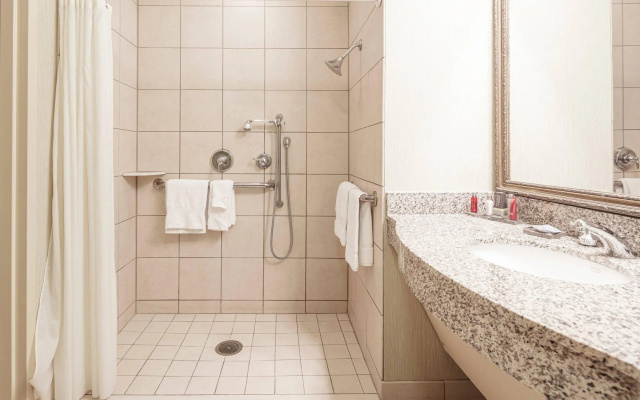 Standard Double room with balcony and with pool view