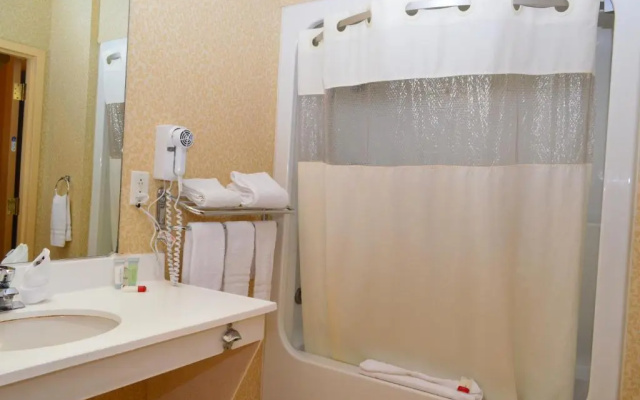 Deluxe Double Suite