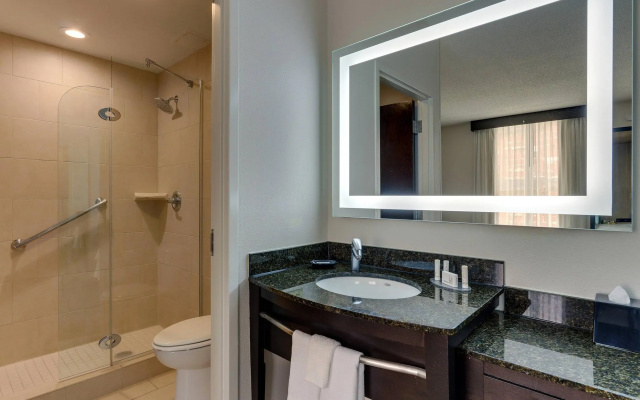 1 Bedroom Double Suite with city view